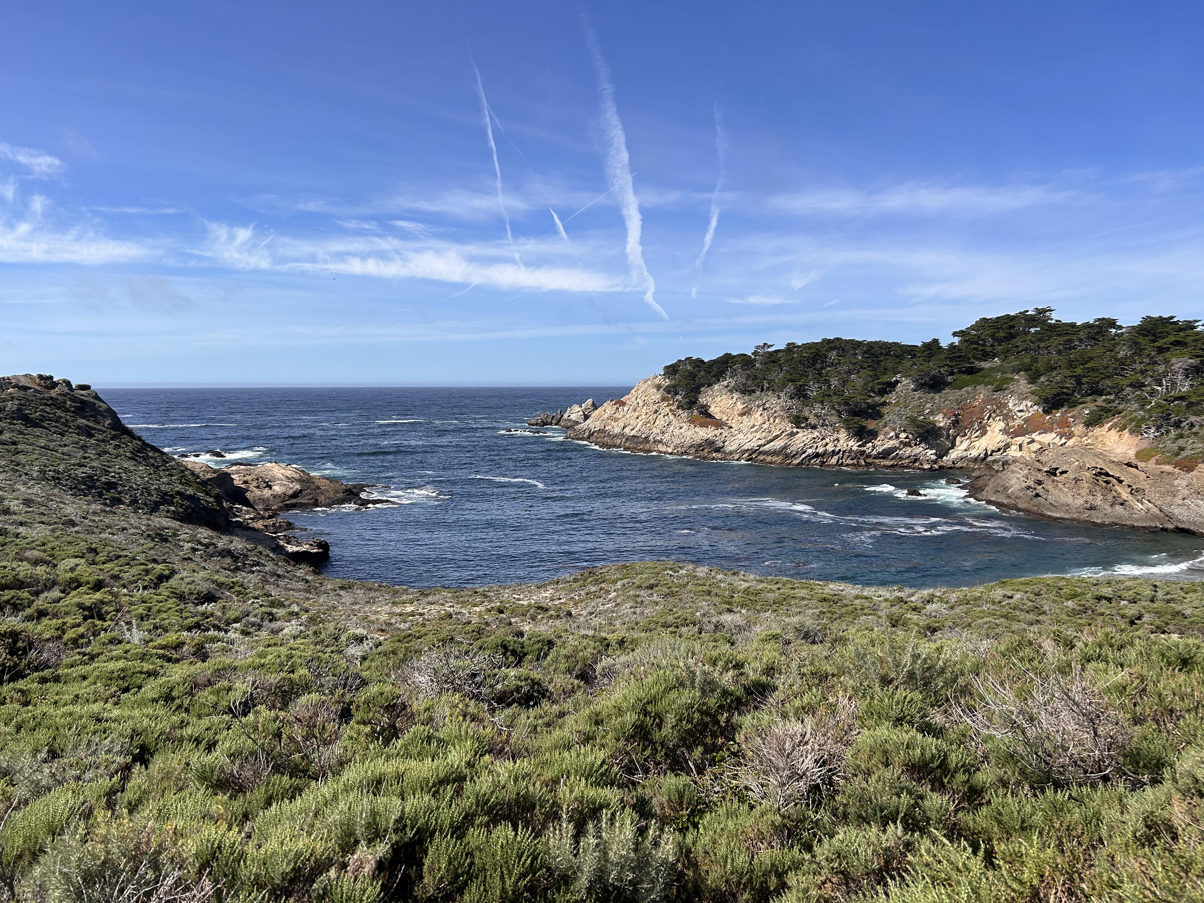 A view from Point Lobos State Natural Reserve