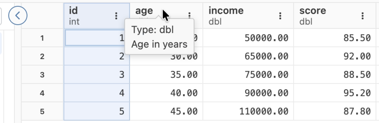 Hovering over column named 'age'. Tooltip reads 'Type: dbl Age in years'